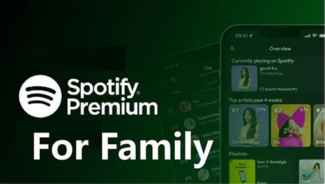 wie wird spotify family kontrolliert|Family plan